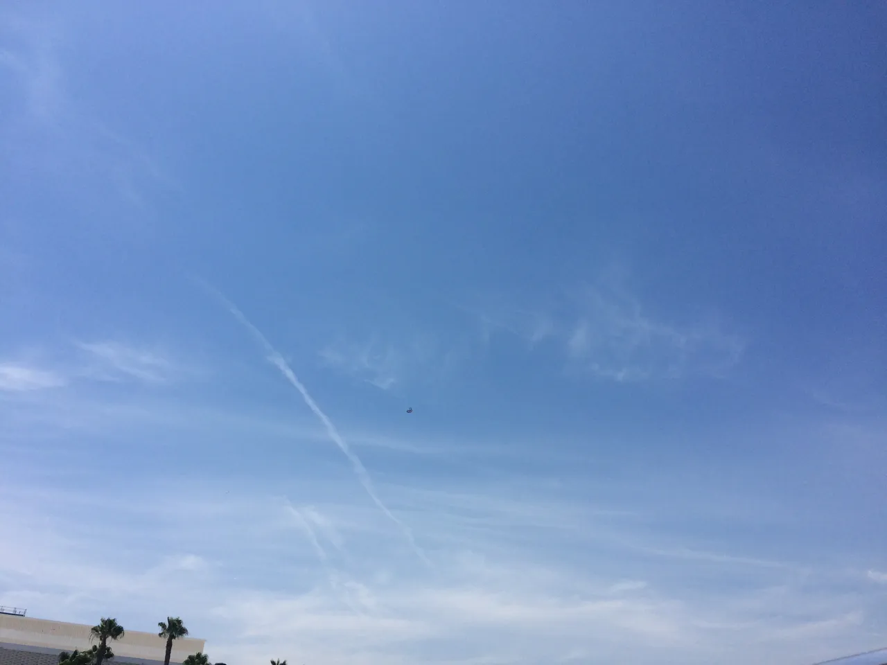 IMG_4775.JPG