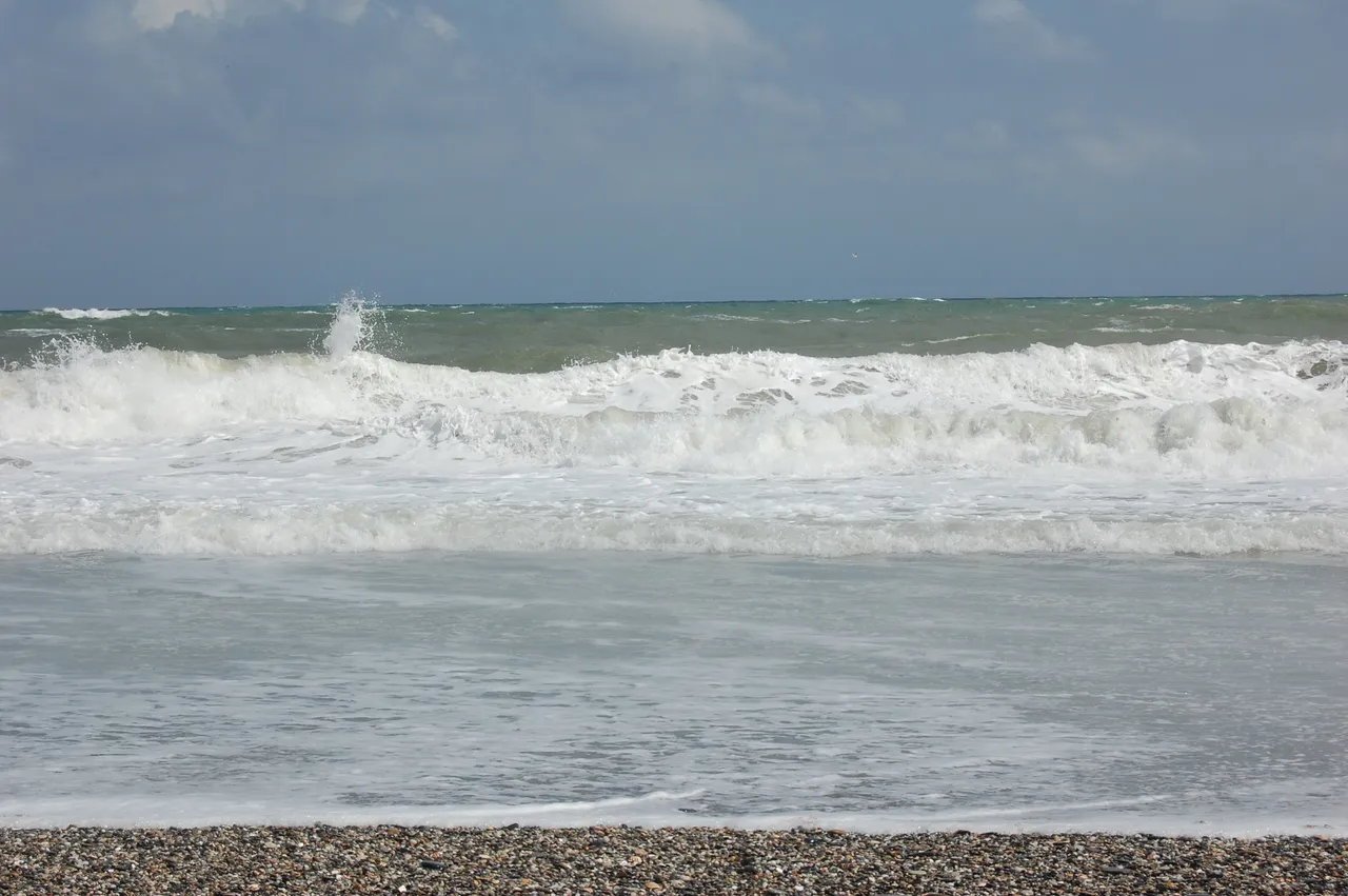 DSC_0251.JPG