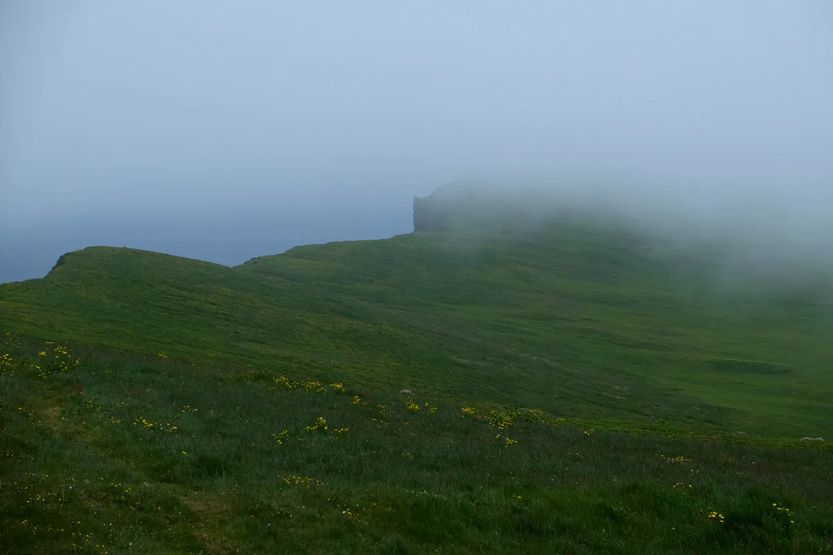 DSCF3297.jpg
