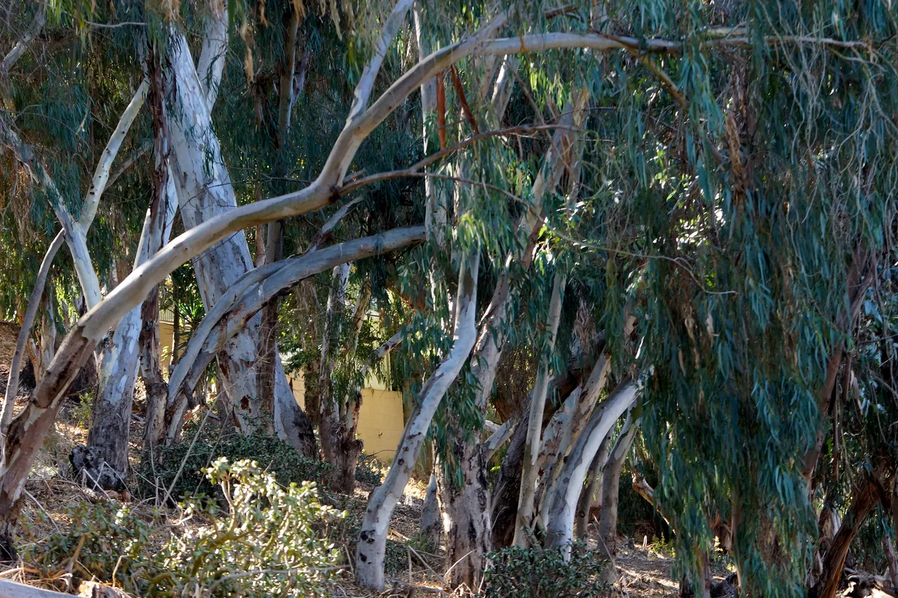 _DSC2757.JPG