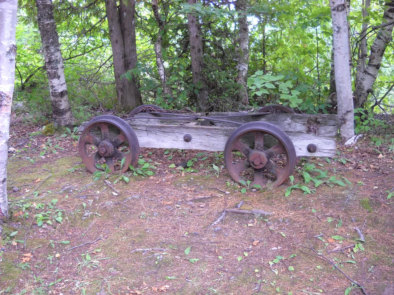 DSCN9599.JPG