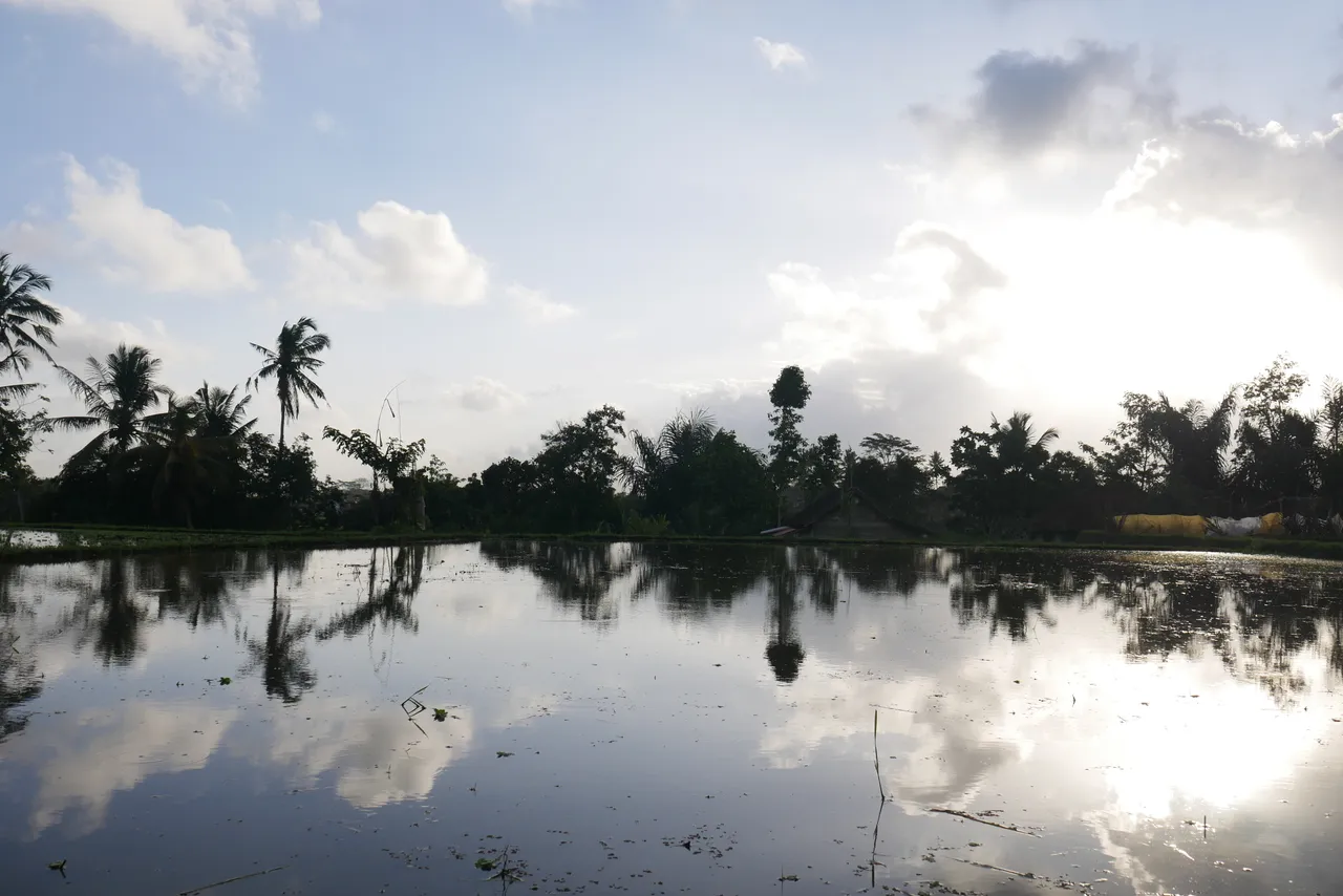 ubud-bali.jpg