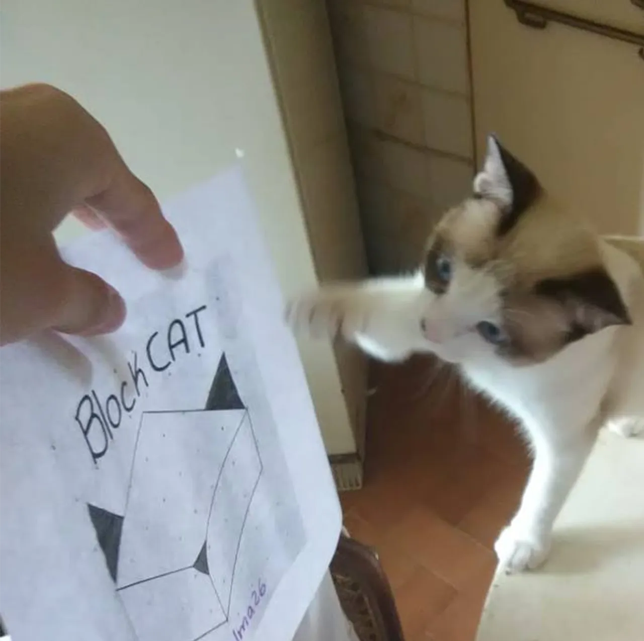 blockcat.png