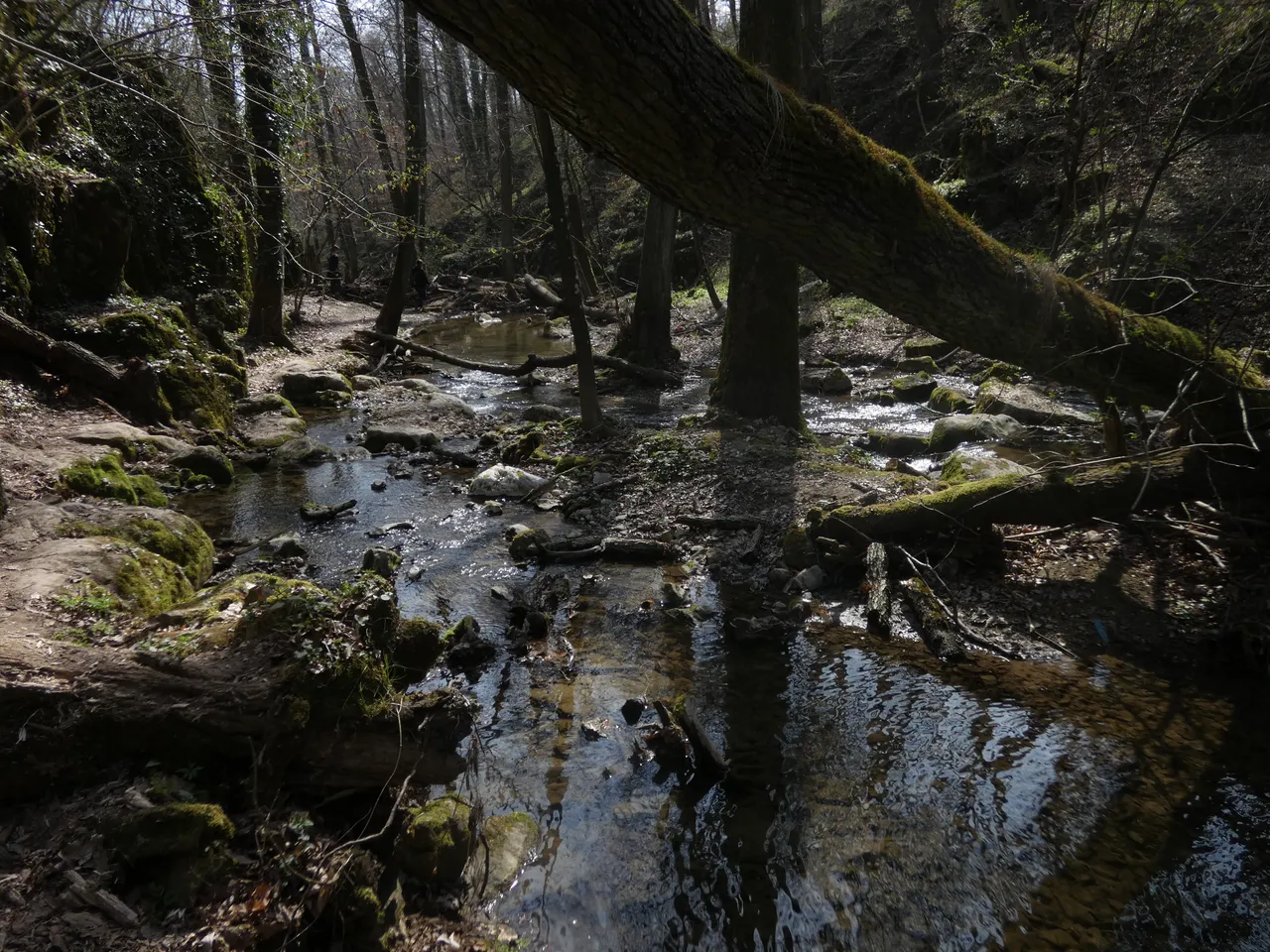 P1230934.JPG
