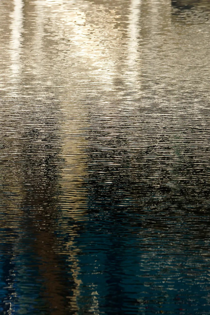 _DSC5635.jpg