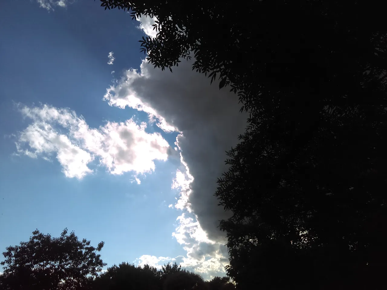IMAG2427.jpg