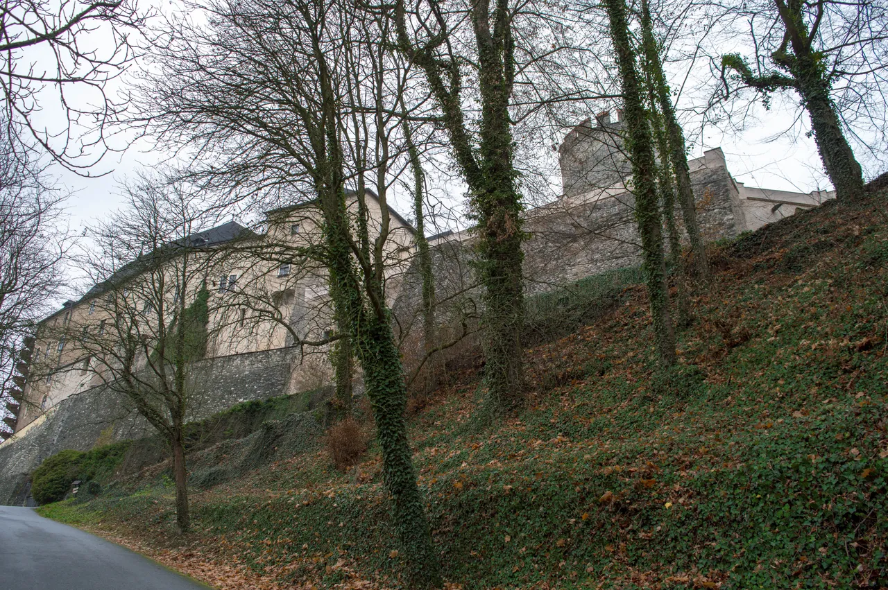 DSC_0010.jpg