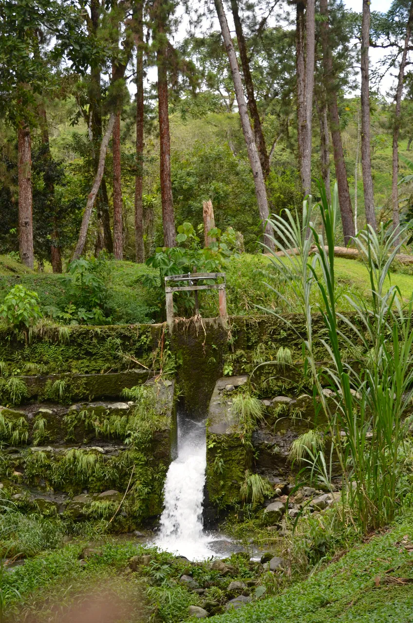DSC_0242.jpg