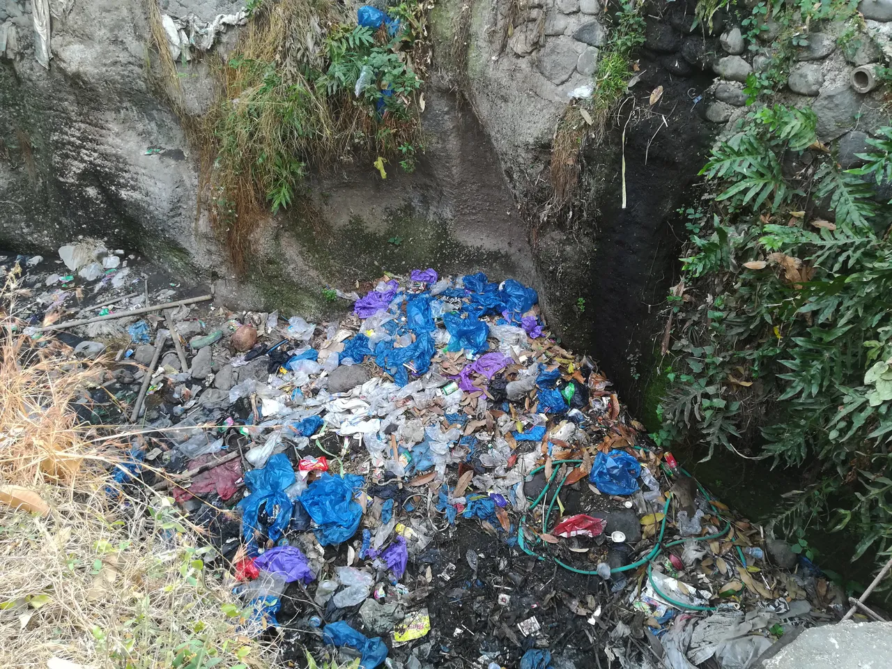 plastic3.jpg