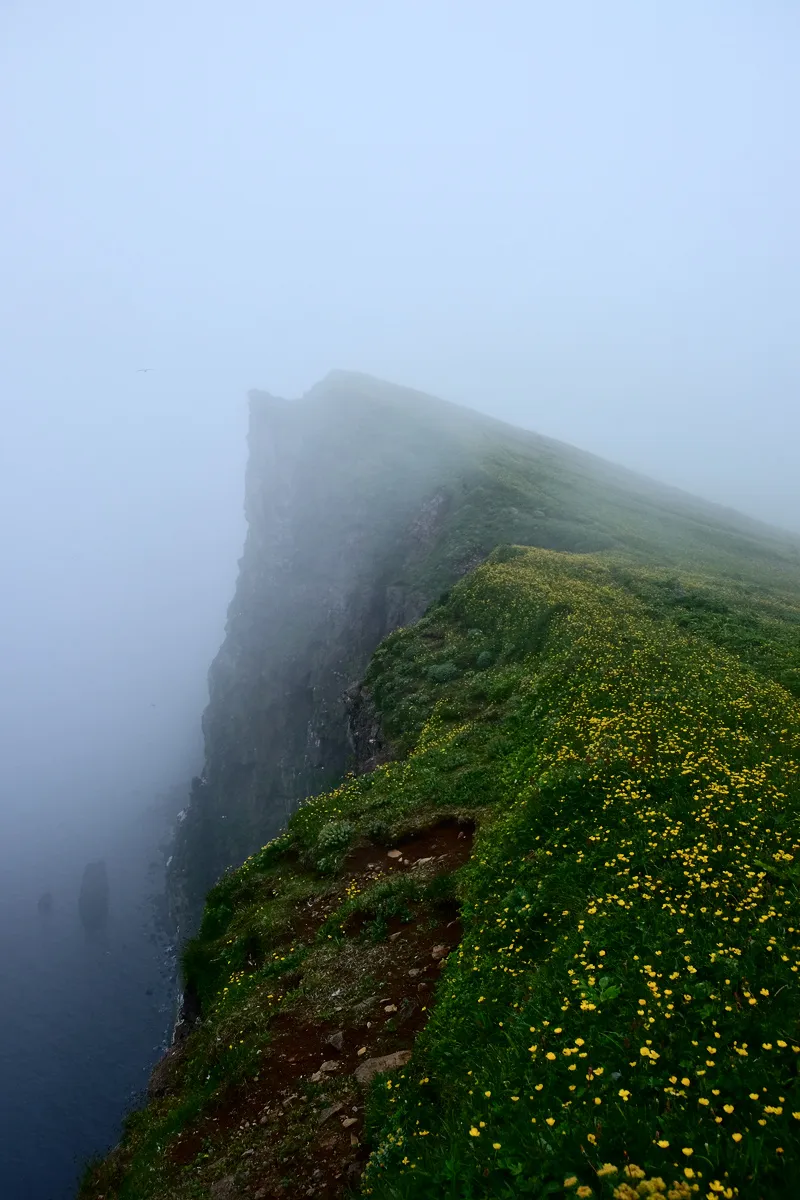 DSCF3314.jpg