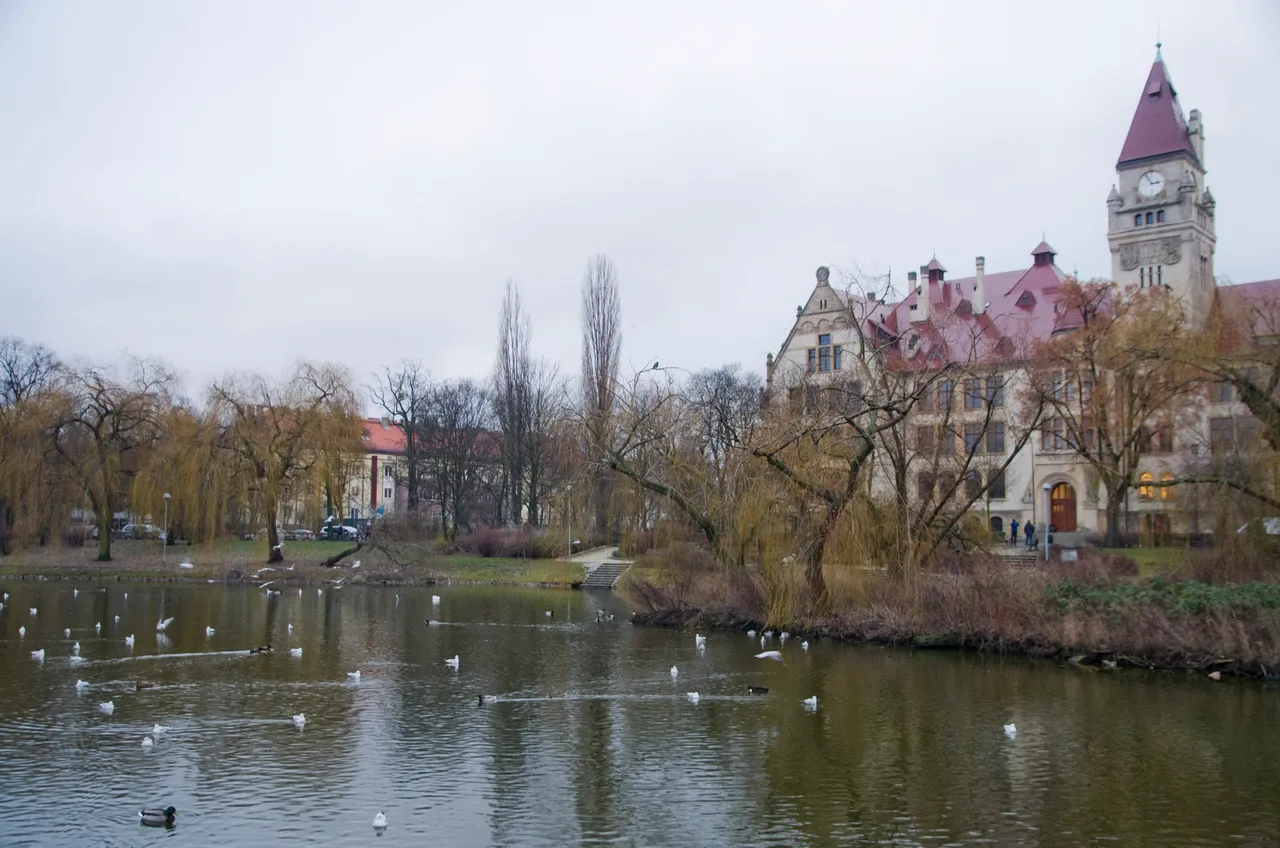 IMGP4380.JPG