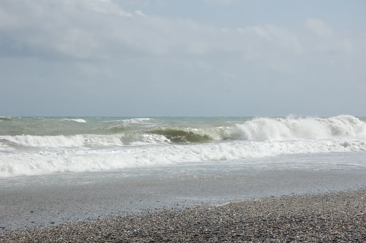 DSC_0254.JPG
