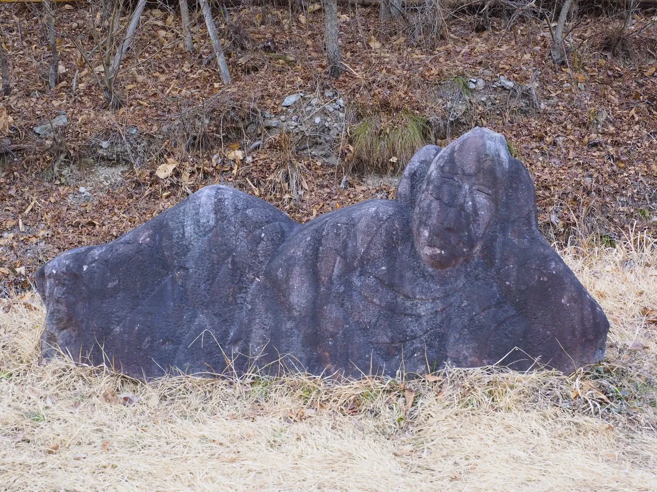 _2080214.JPG