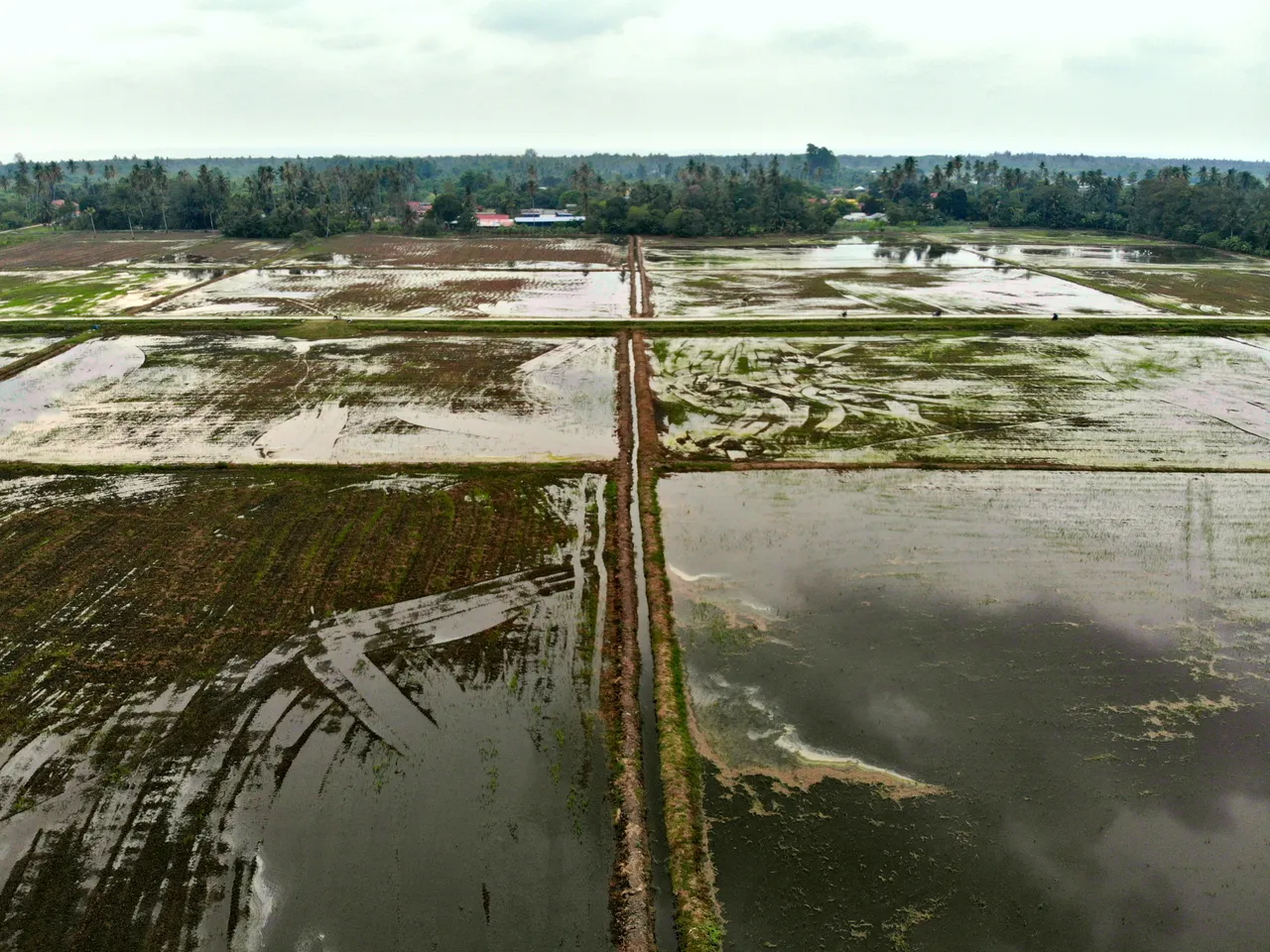 DJI_0397.JPG