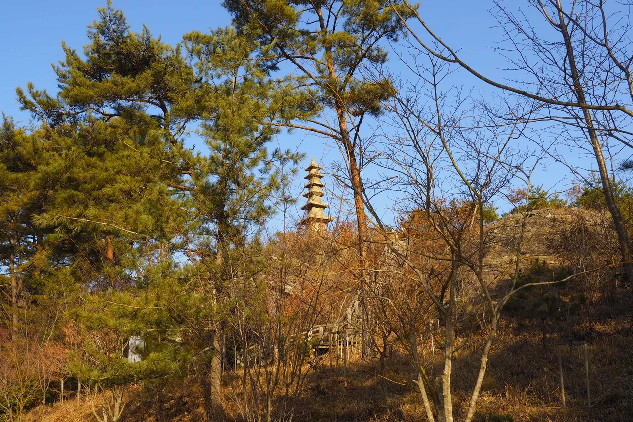 _2080138.JPG
