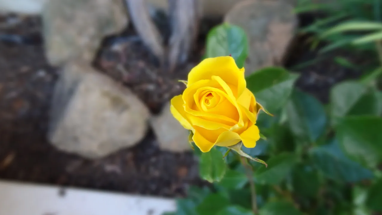 DSC05783.JPG