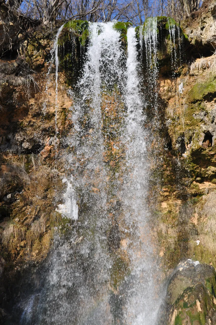 DSC_0198.JPG