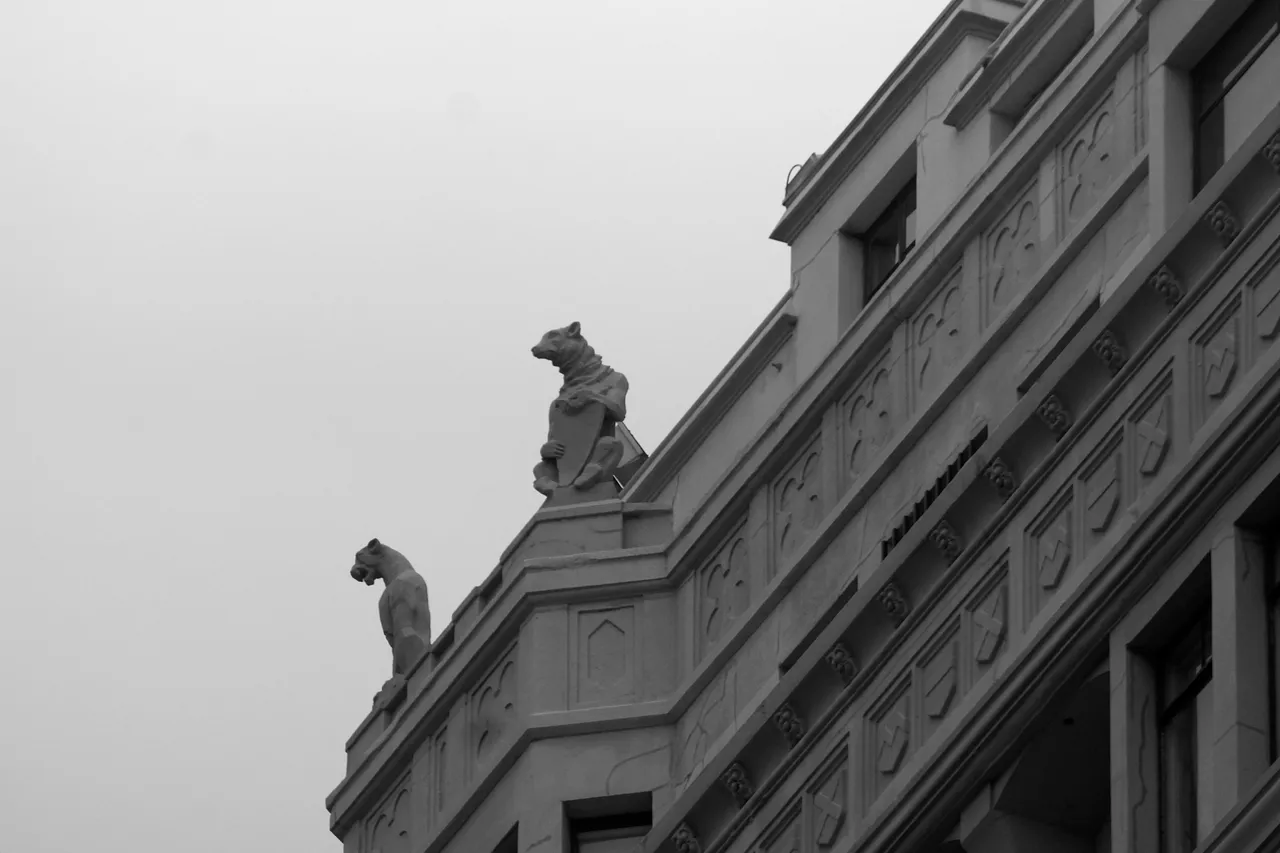 _DSC6030.JPG