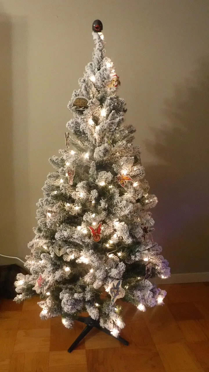 DSCF7103.JPG