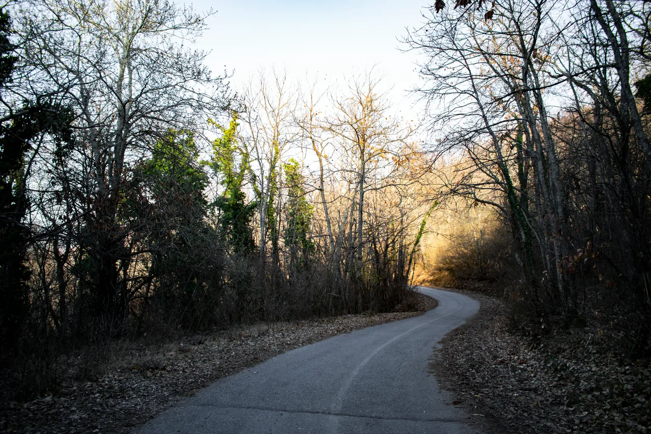 DSC_0159.jpg