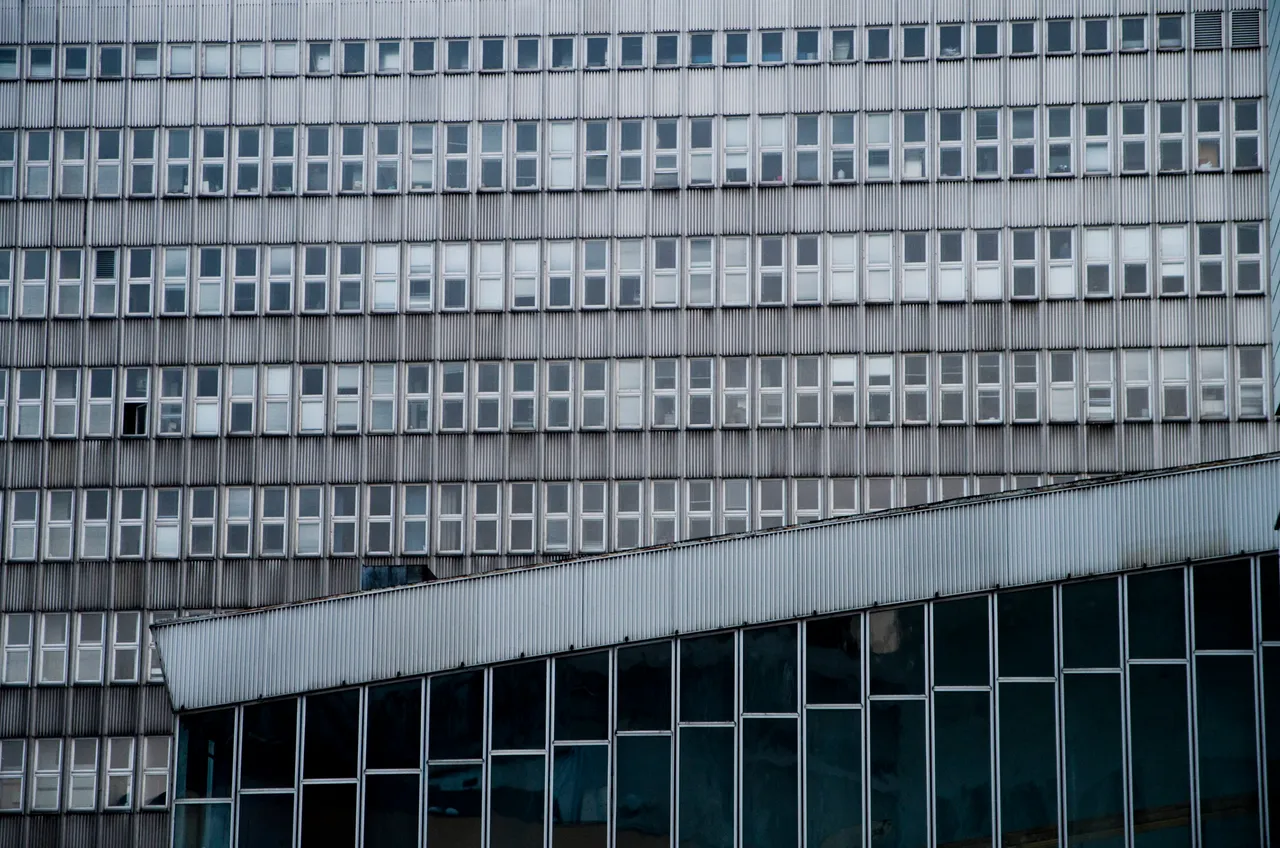 IMGP4465.JPG