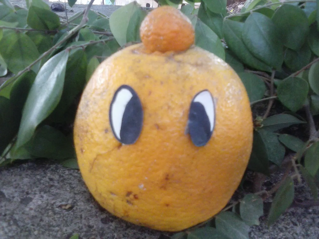CAM00802.jpg