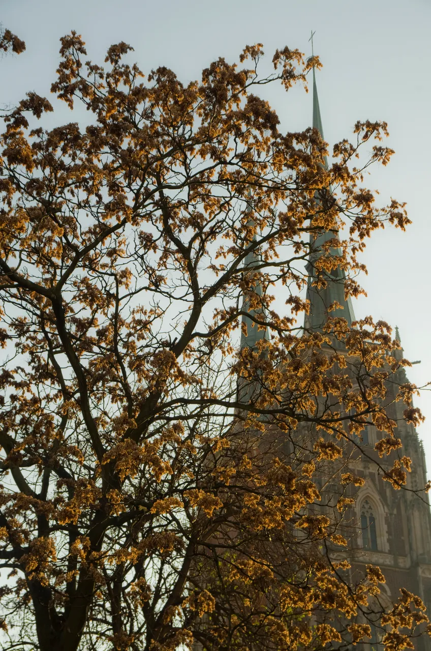 IMGP4003.JPG