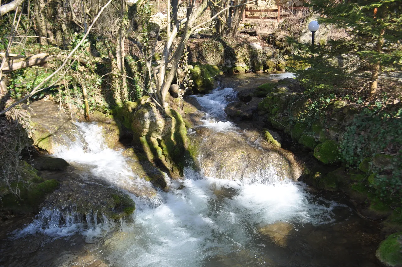 DSC_0156.JPG