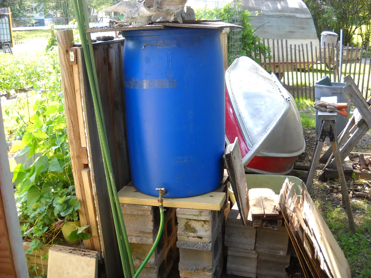 DSCN1687.JPG