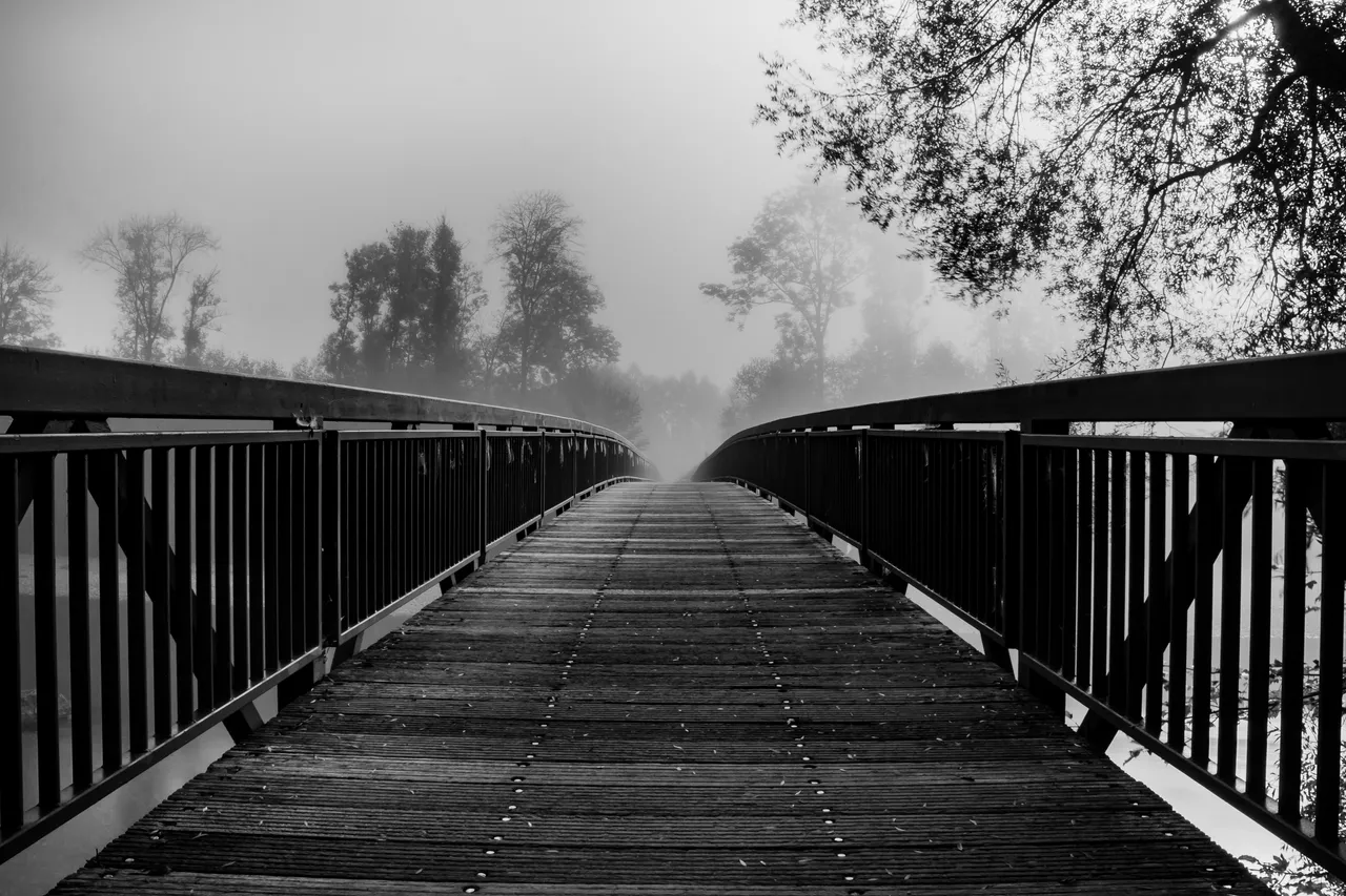 _MG_6903.jpg