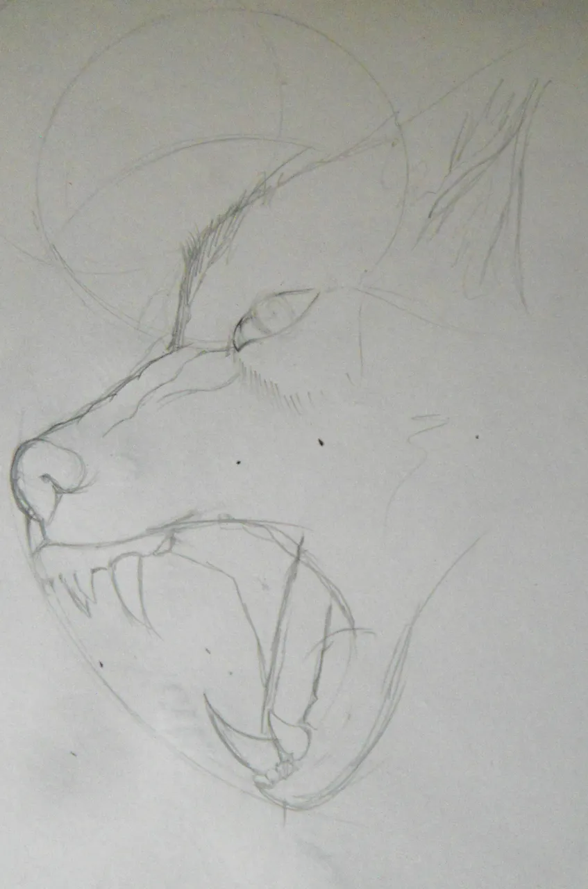 proceso1.jpg