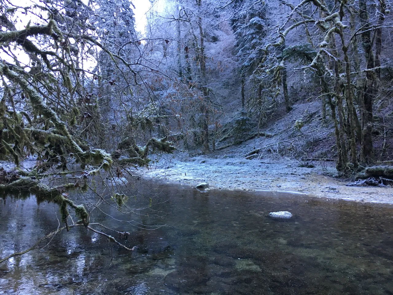 IMG_7916.jpg