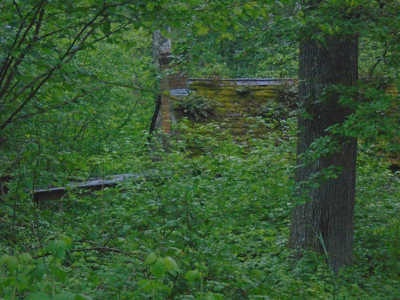 DSC09544.JPG