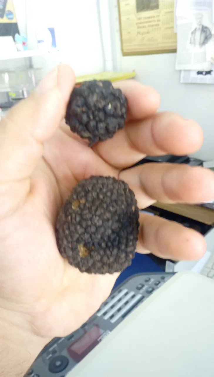 IMAG0759.jpg