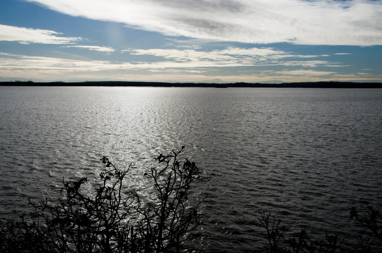 IMGP4922.JPG