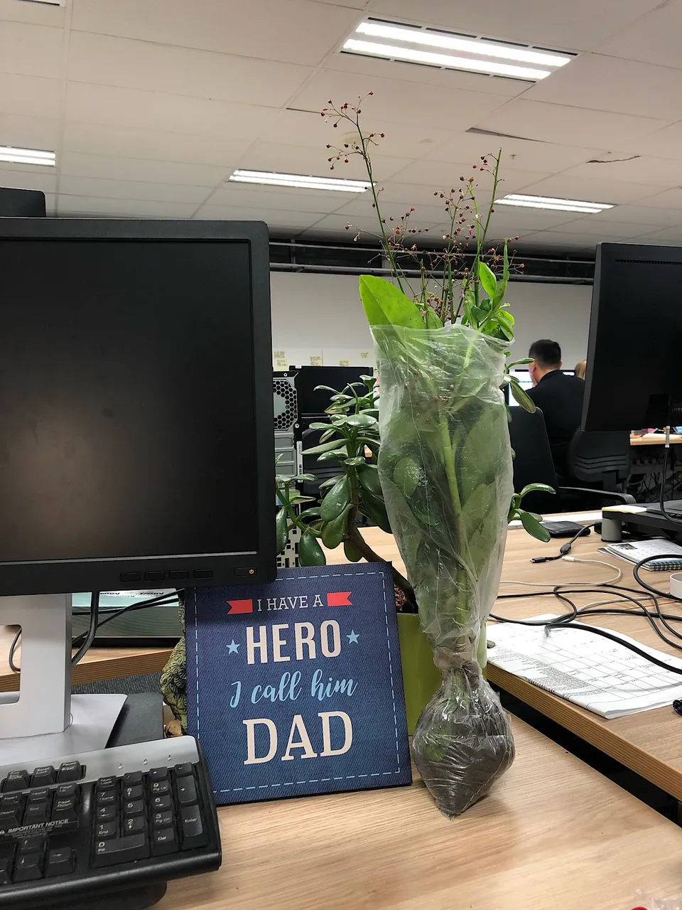Fameflower plant