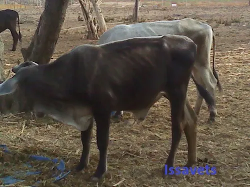 IMG10407.jpg