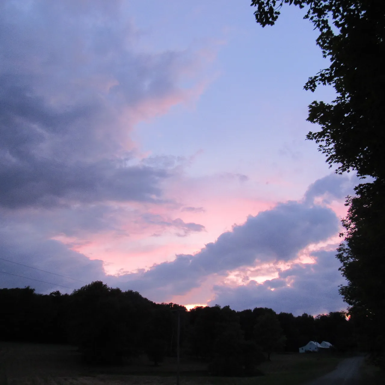 IMG_5222.JPG
