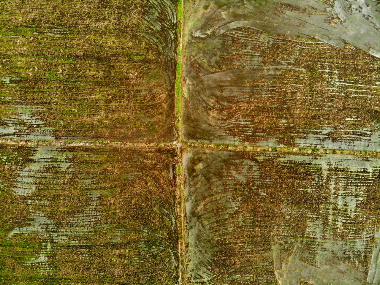 DJI_0423.JPG