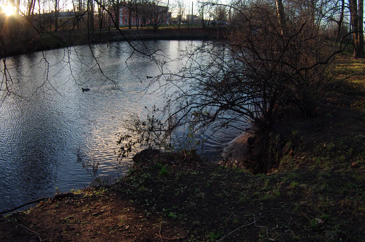 IMGP7402.jpg