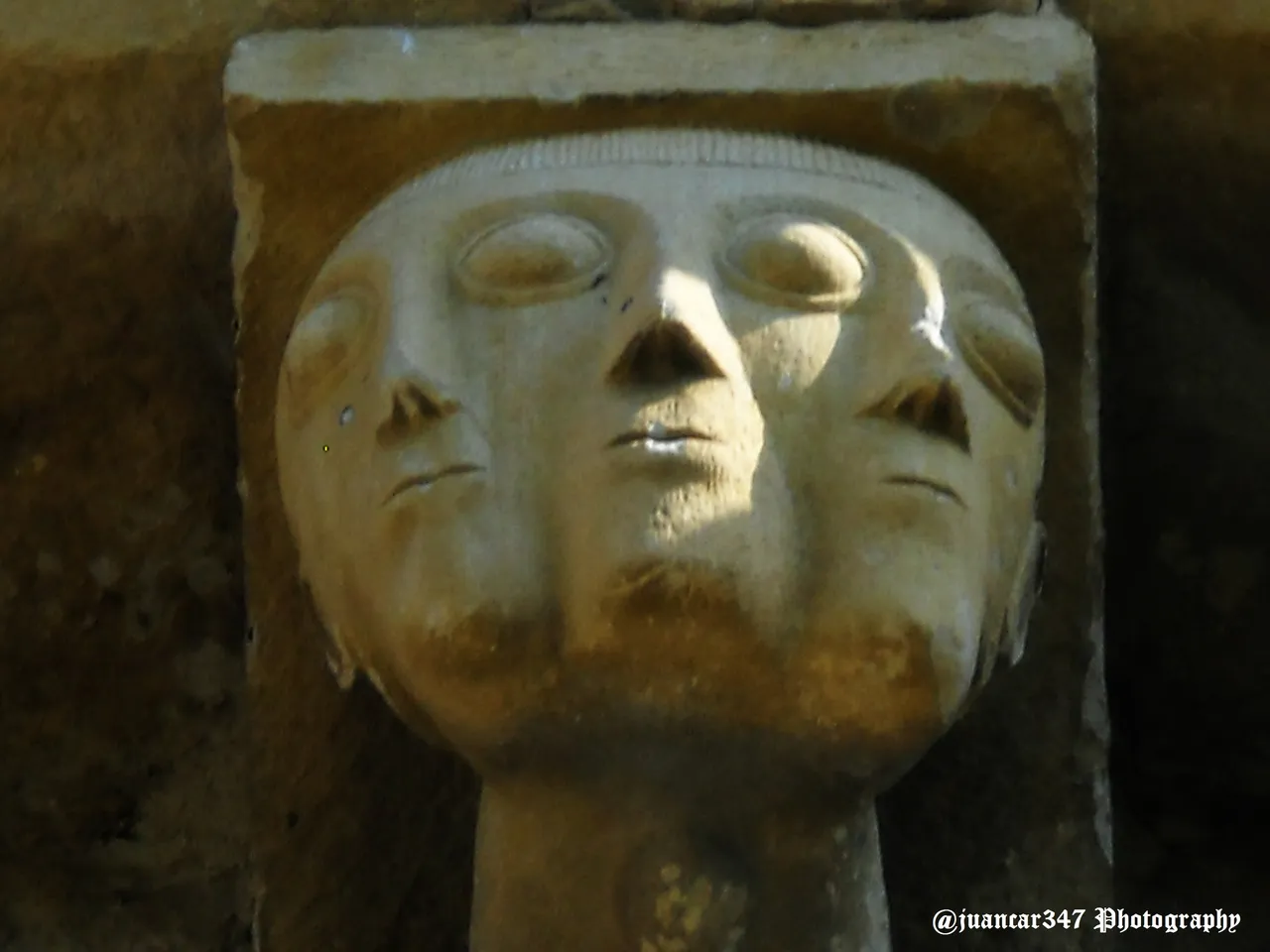 DSCN8719.jpg