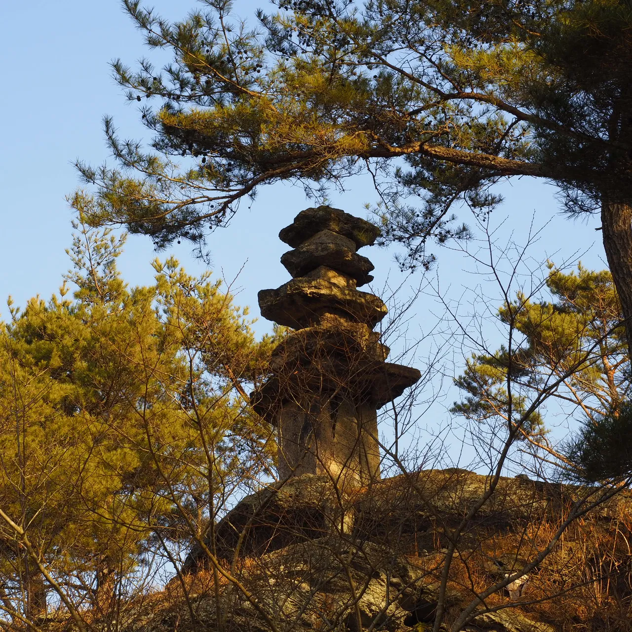 _2080126.JPG