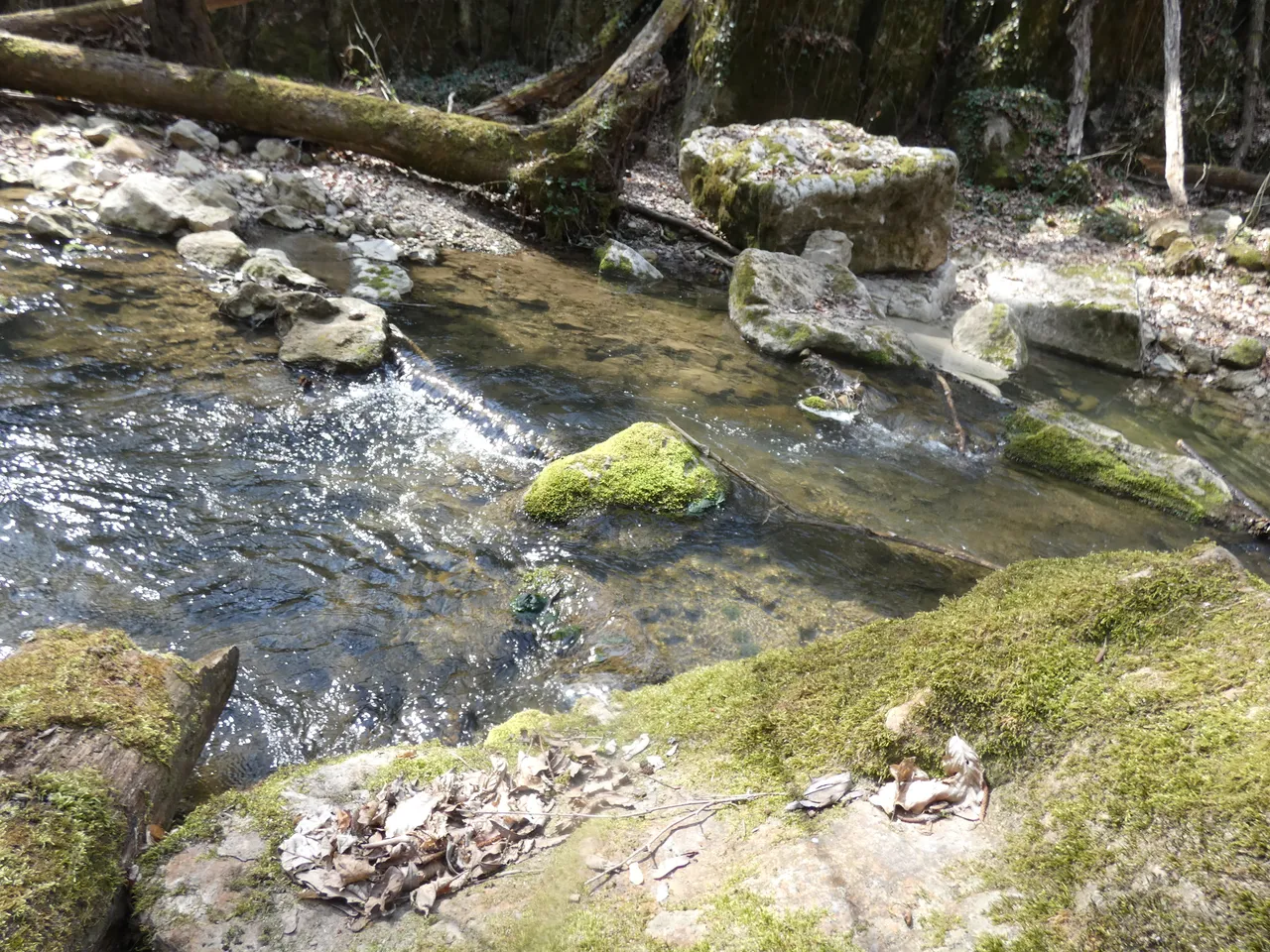 P1230944.JPG