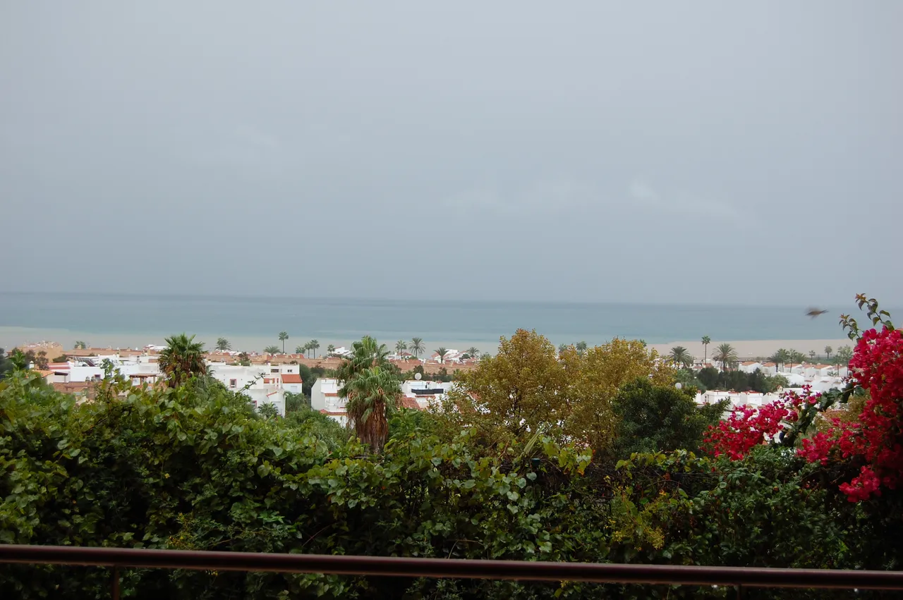 DSC_0017.JPG