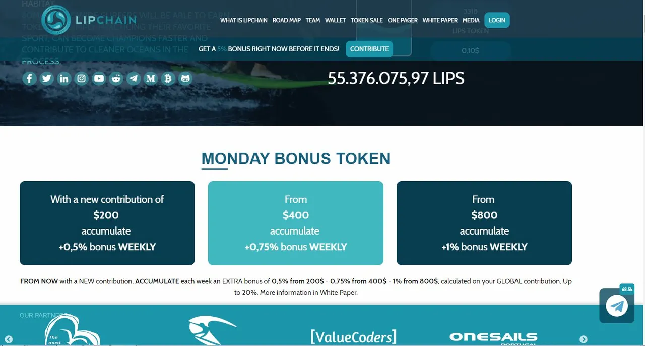 LIPCHAIN.JPG