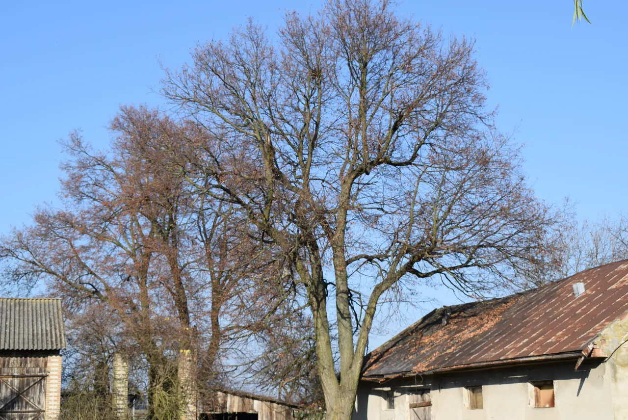 DSC_0139.JPG