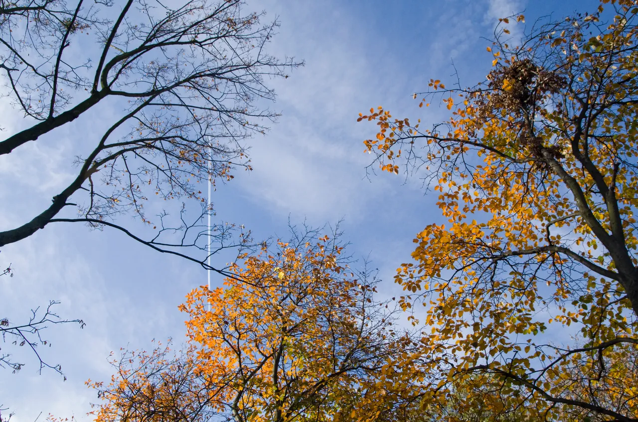 IMGP3697.JPG