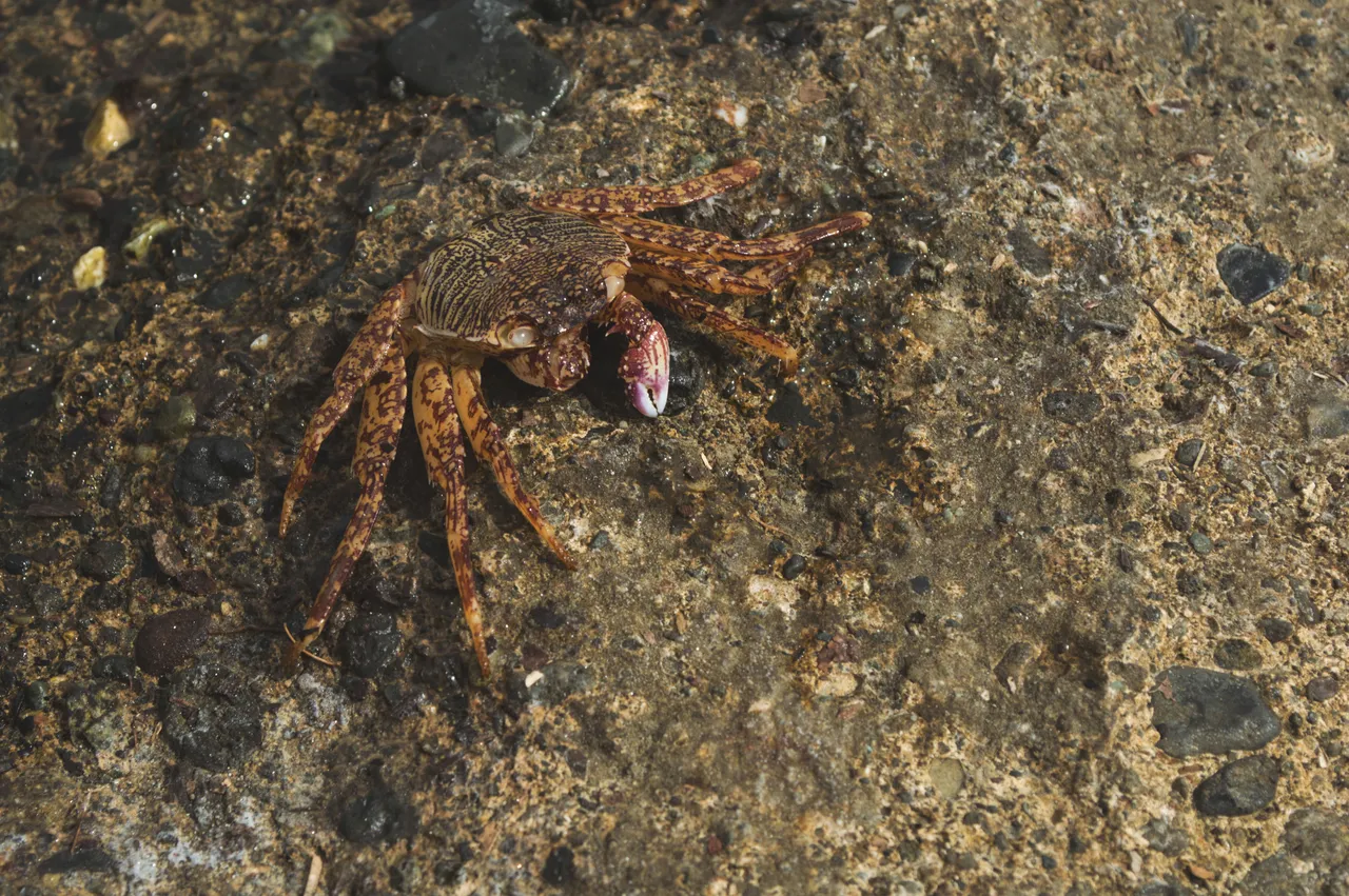 DSC_0253.jpg