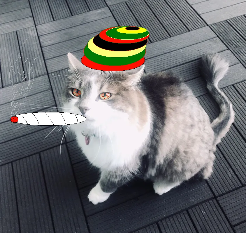 Rastacat.png