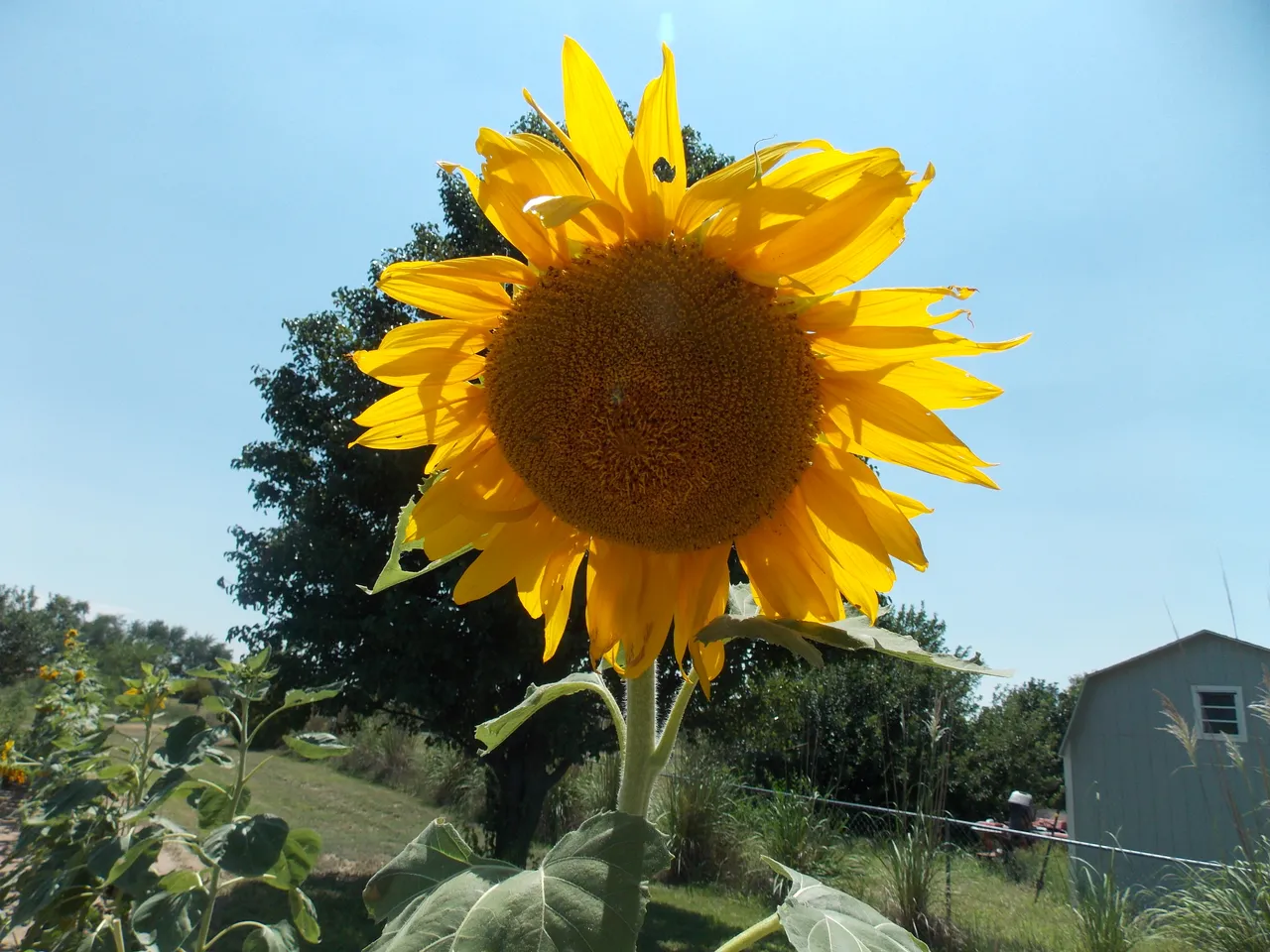 DSCN0688.JPG